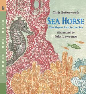 Sea Horse: The Shyest Fish in the Sea (text and video)